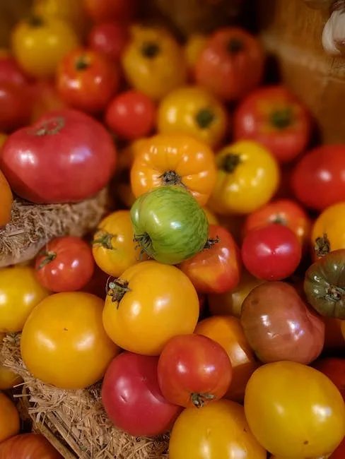 토마토의 영양가가 풍부한 빨간색 보물